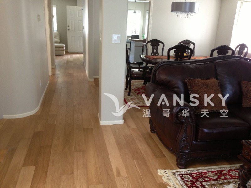 230215103312_dining room 2.JPG